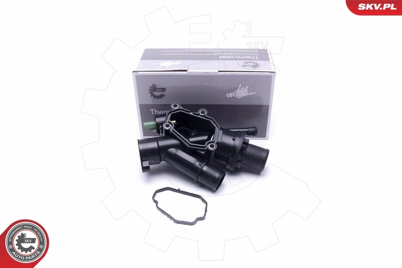 Thermostat, coolant